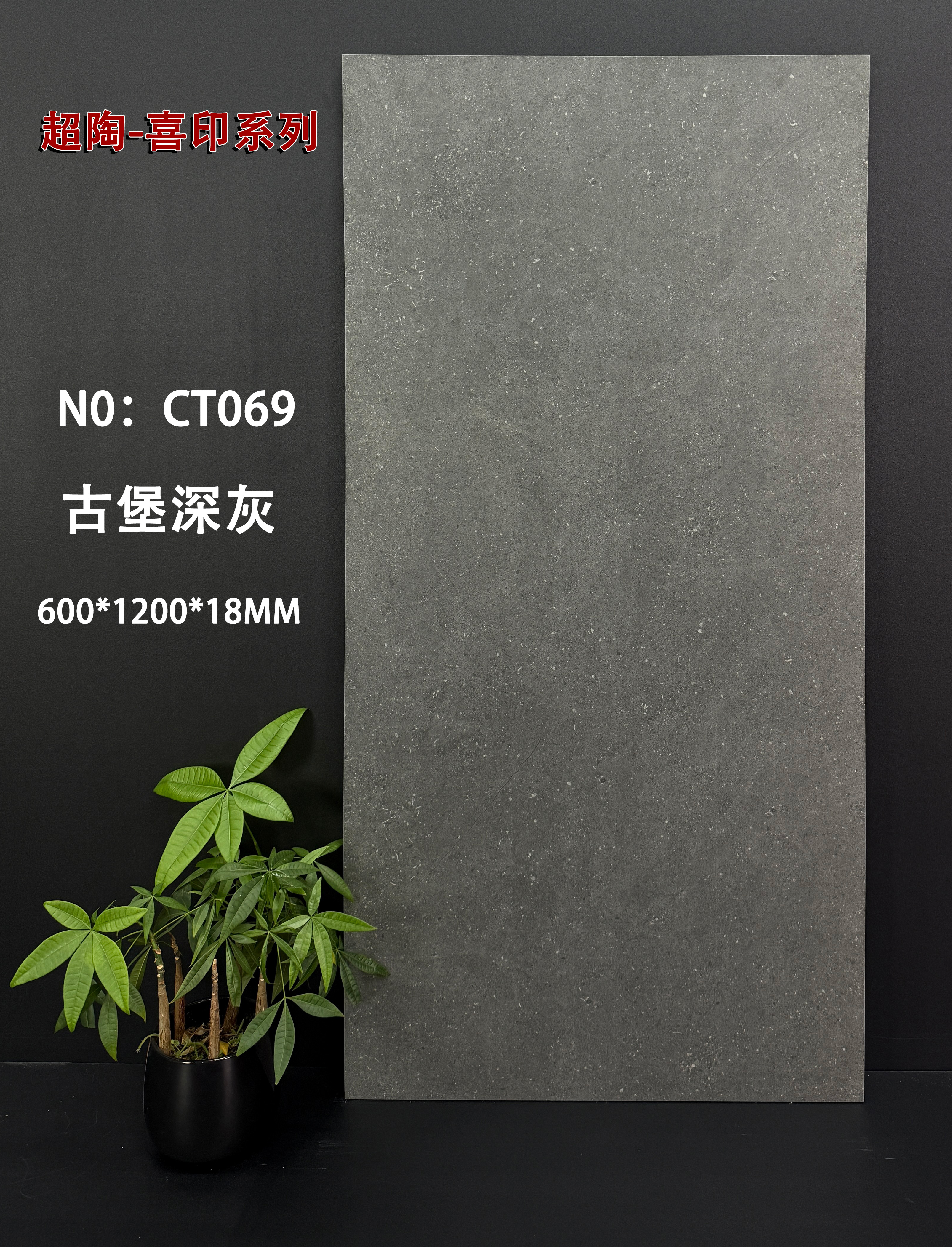 Light Year Cream White