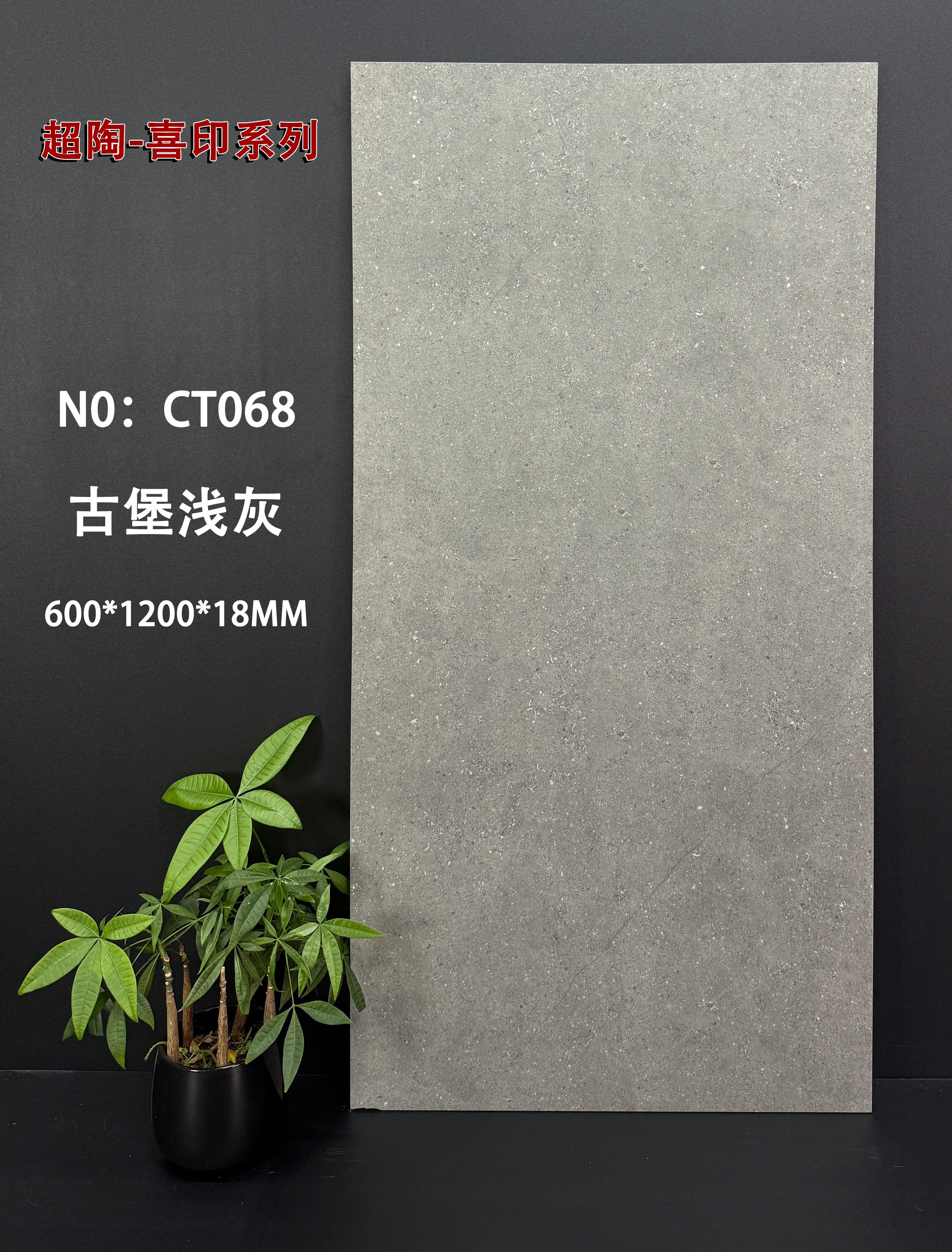 Light Year Cream Yellow