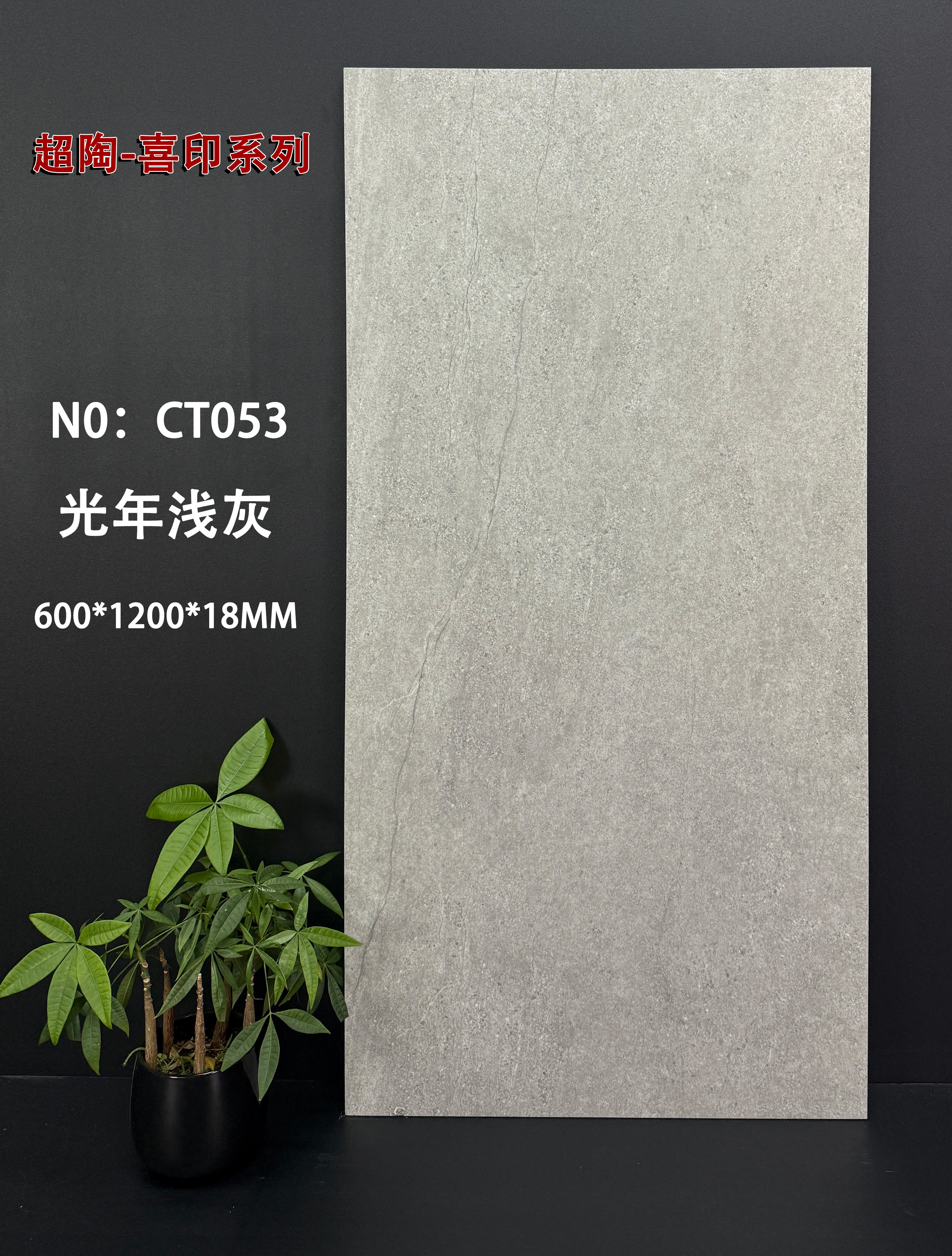 Burgundy Cream White