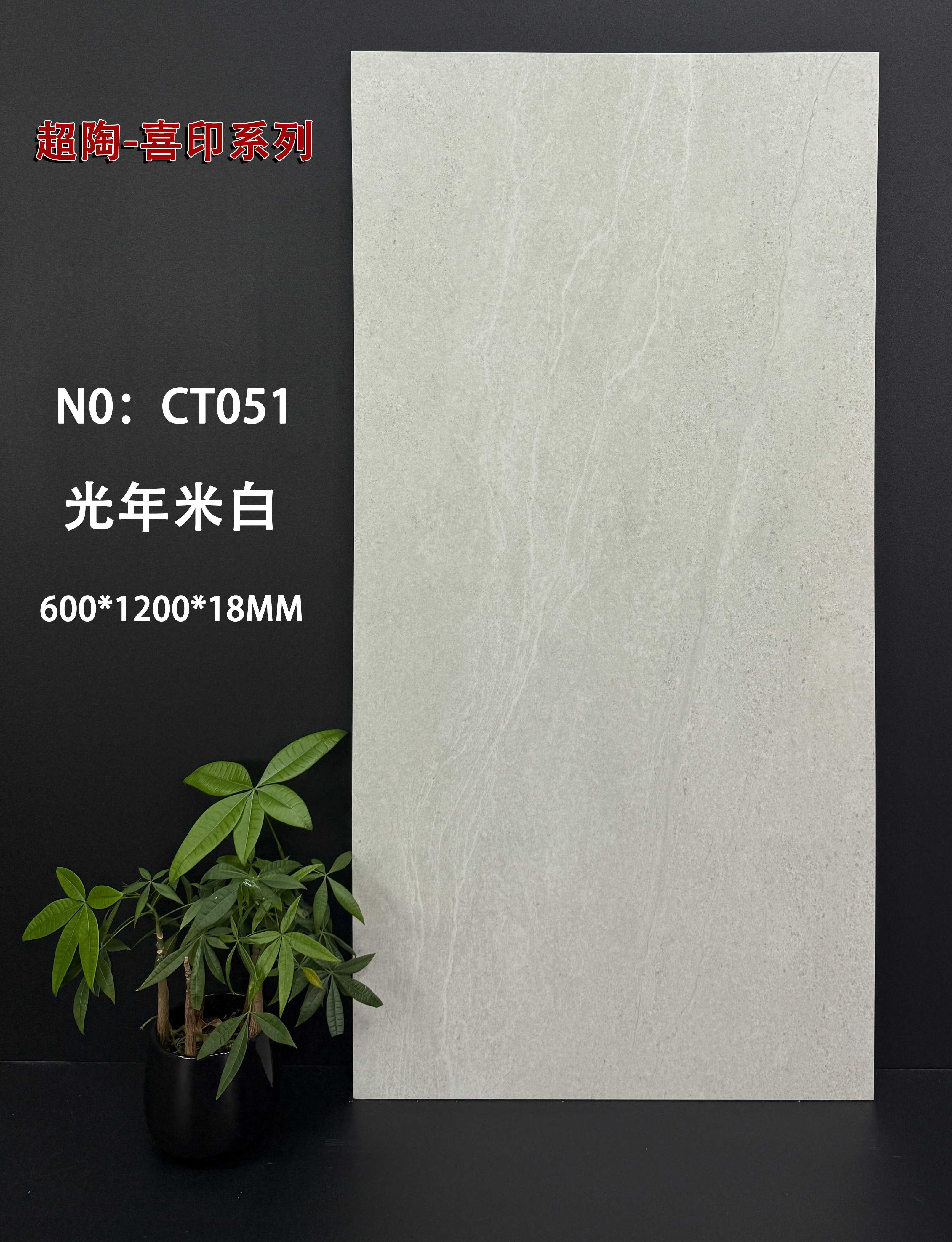 Burgundy Cream Yellow