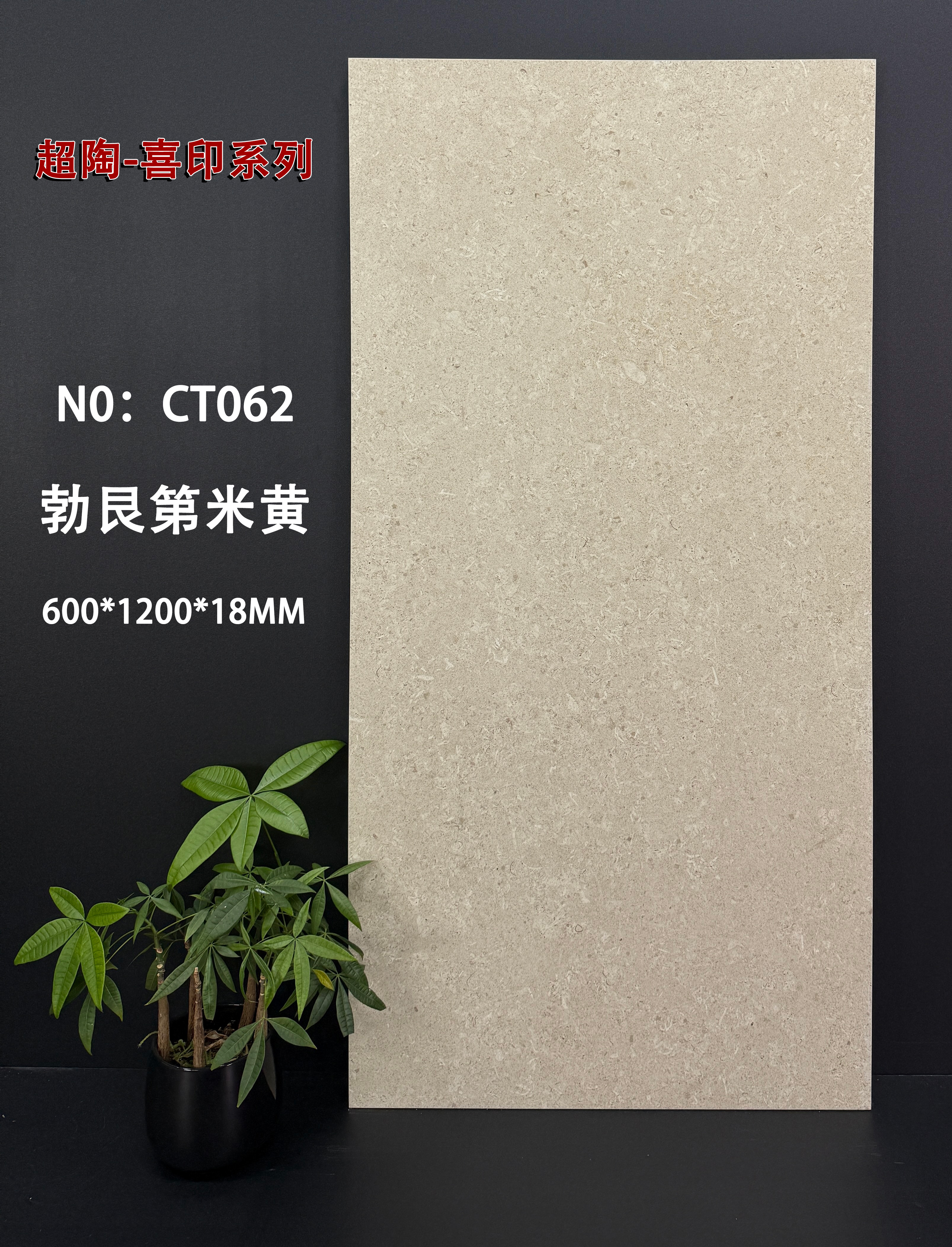 Rocky Mountain Dark Grey